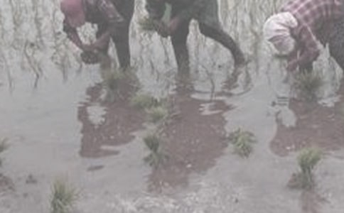 ��ũ���ĵ����