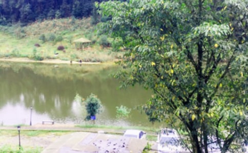 到农家乐心情说说