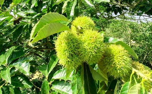 农家乐标语:农家乐旅游宣传语