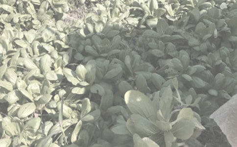 ũί��ũ����Ʒ����������ƶ�