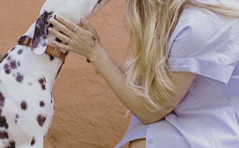 女性学的学科特点有