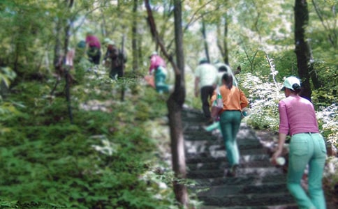 ��ɽ�����(�ϼ�15ƪ)