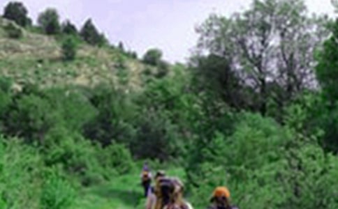 冬天去爬山的说说