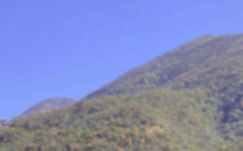 ��ɽ�ĵ���᡾ʵ��15ƪ��