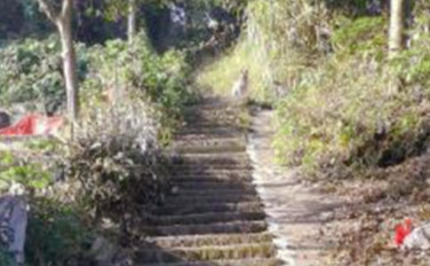 周末爬山说说8篇