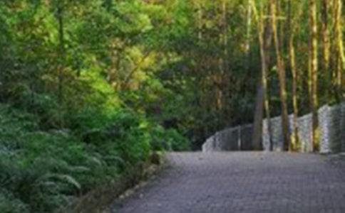 ��ɽ����Ȥ������300��4ƪ