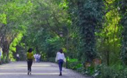 关于形容爬山心情唯美心情说说