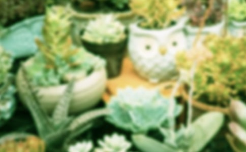 ���Ի��ܽ�ˮ�忴