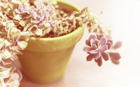 �й����Ի��ܽ�ˮ�忴