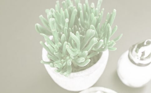 盆栽花卉浇水五看