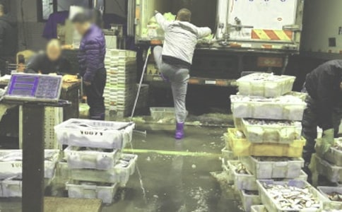 ��Ʒ������վ�������