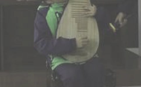 (合集)实用的琵琶作文300字4篇