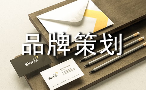 品牌策划书(15篇)