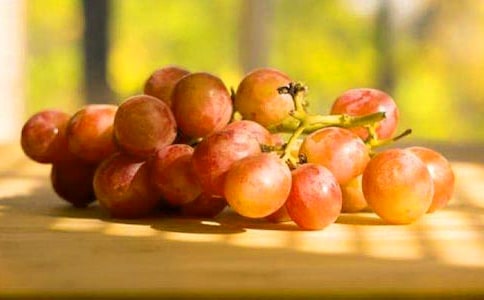 精选描写葡萄的作文300字4篇