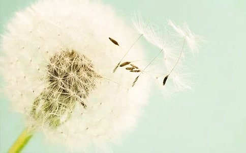 �ѹ�Ӣ������Ȧ˵˵