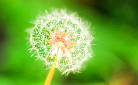 �ִ����ѹ�Ӣ�Ķ���