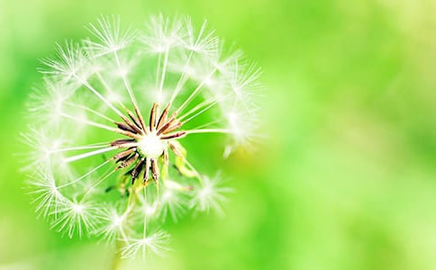 ��д�ѹ�Ӣ�ľ���14ƪ