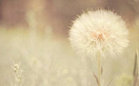 ��д�ѹ�Ӣ�ľ���14ƪ