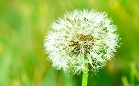 �����š��ѹ�Ӣ������300��3ƪ