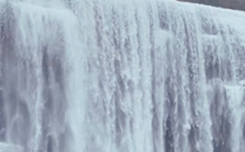 紫藤萝瀑布读后感实用(10篇)