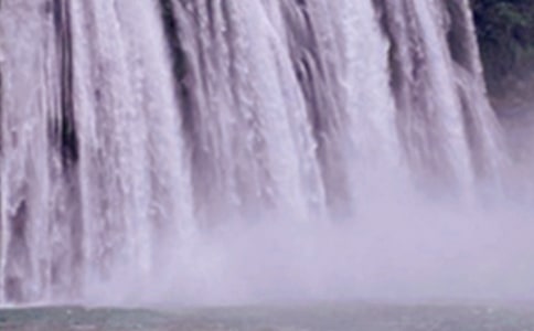 紫藤萝瀑布读后感(精选15篇)