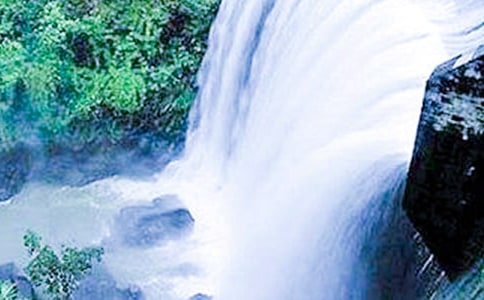 �����ٲ���Ψ������