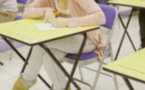 2018年小学期末考试计划作文