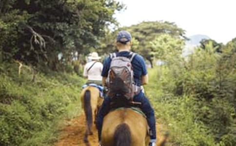 ����������˵˵