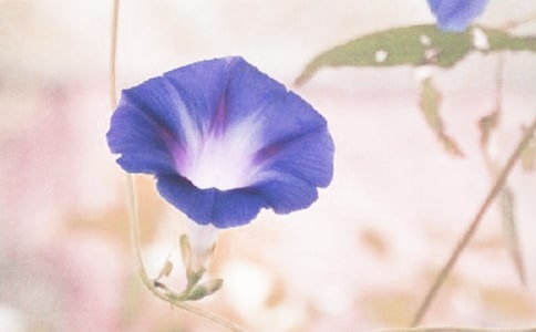 ��дǣţ����ʫ��ƽ��Ӯ��Ц�տ�