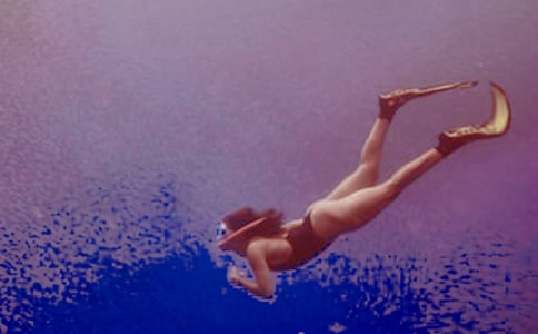 【荐】潜水的作文300字4篇