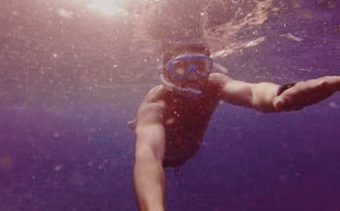 精选潜水的作文300字合集5篇