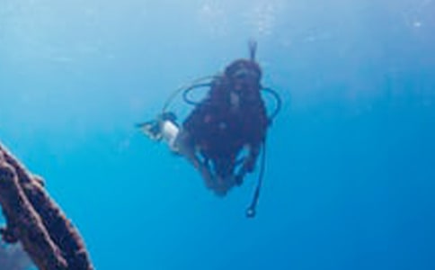 �����Ǳˮ��������ռ�100��