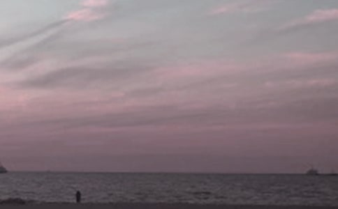 ������ѧ�ػʵ���У��ʲôרҵ