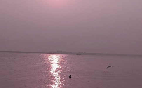 2018东北大学秦皇岛分校最新排名