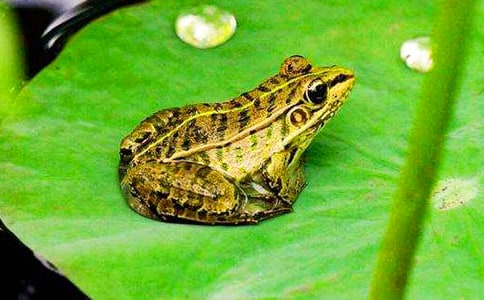 �����ܾ��Ű����򡷶���У���ѡ7ƪ��