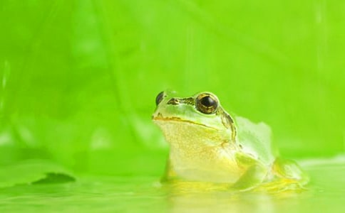 �����ܾ��Ű����򡷶���У�ͨ��9ƪ��