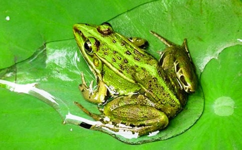 ���Ե���ֻ���ܡ������