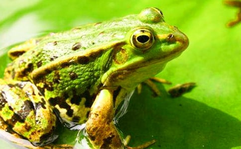 �����ܺϳ��š������