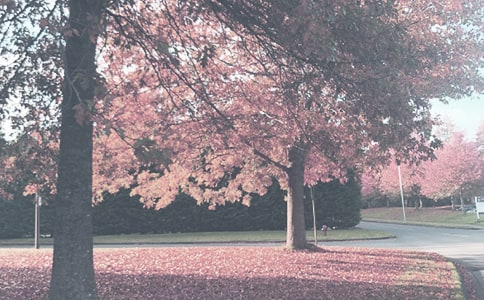 2018������ʡ���＾������ʼ����