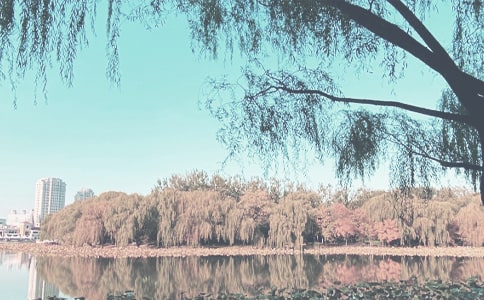 Сѧ���＾��Ⱦ�������ֳ������ϻ���