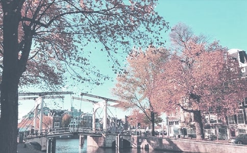 县秋季森林防火宣传月活动方案范文精选