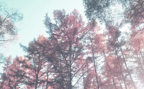 秋季传染病防控教案翻版(精选10篇)