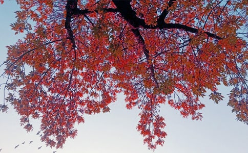 ������д��������ľ���,��д��д��������ľ���