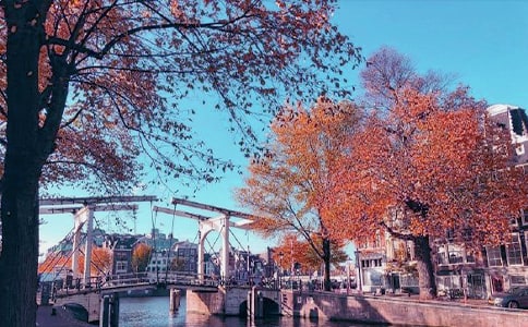 秋日作文300字【通用3篇】