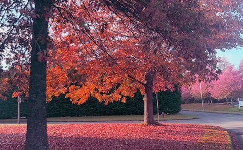 ���ղк����ģ�ͨ��36ƪ��