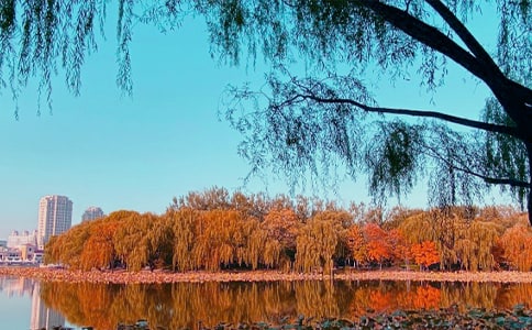 ����Ʒ����������300����ƪ