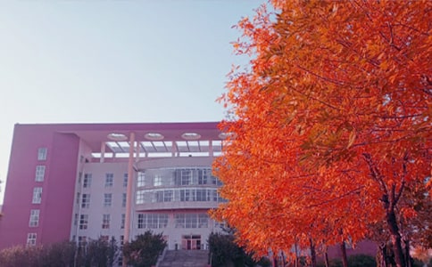 描写秋日阳光的优美语句