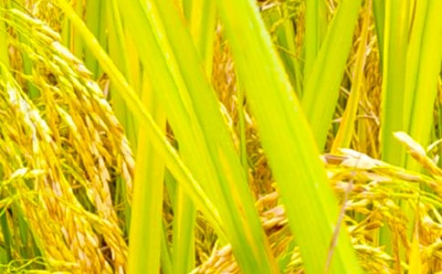 ��д����ϲ�õ�ʫ��