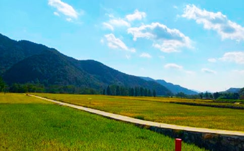 ��ʵ�á����յ�����300����ƪ