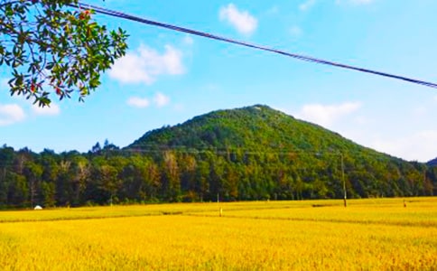 ���շ���������